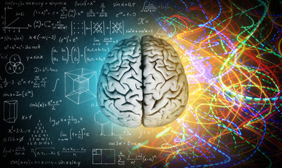 the concept of the human brain. the right creative hemisphere versus the left logical hemisphere. ed