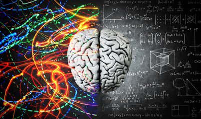 the concept of the human brain. the right creative hemisphere versus the left logical hemisphere. ed