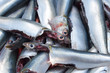 Sardine and pilchard are common names used to refer to various small, oily fish in the herring family Clupeidae.