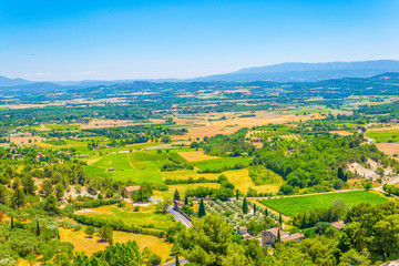 Wall Mural - Vineyards near Gordes village in France