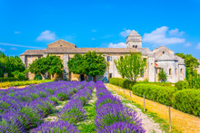 Lavender Field In The Monastery Of Saint Paul De Mausole In France