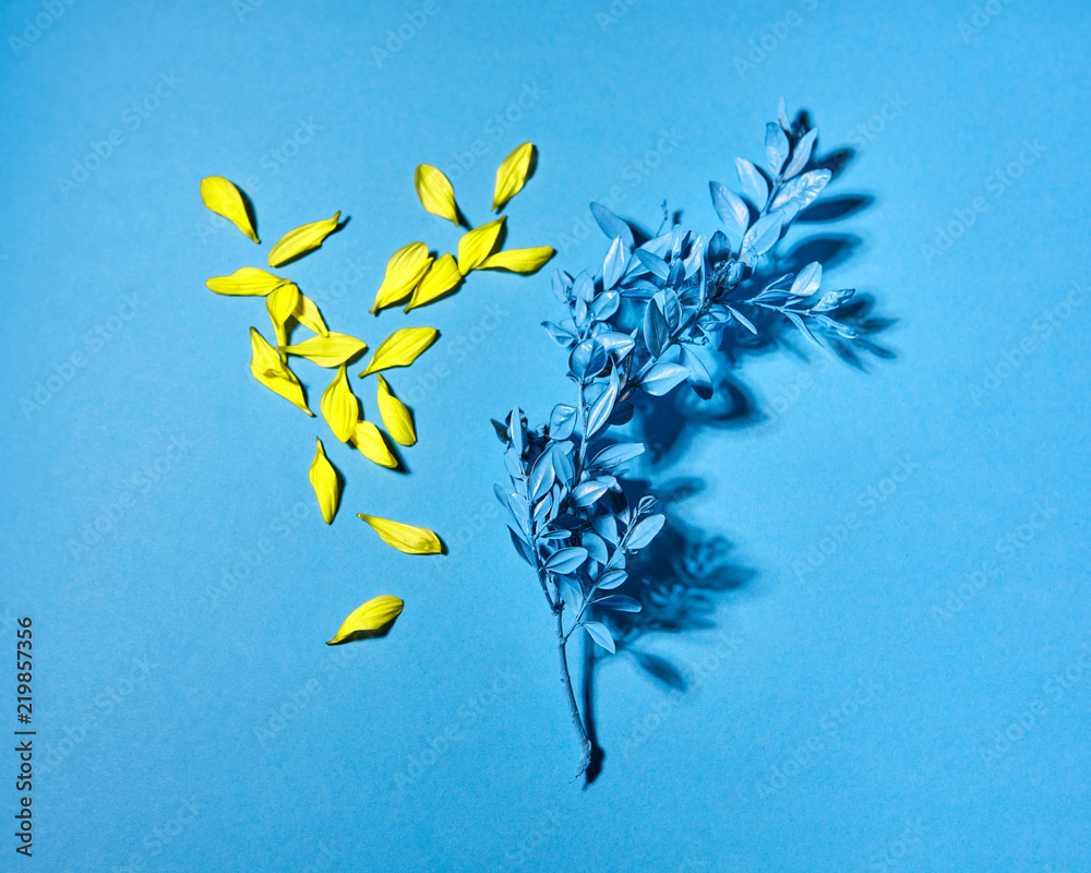The branch with little blue leaves and yellow petals on a blue paper background. - obrazy, fototapety, plakaty 