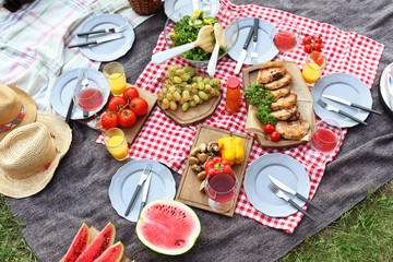 Wall Mural - Blanket with food prepared for summer picnic outdoors