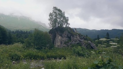 Wall Mural - tourist people climbing on rocky cliff on green mountain landscape while hiking