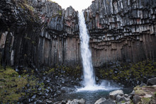Icelandic Svartifoss Waterfall