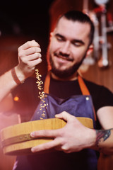 a young handsome man - a brewer in a denim apron holds beer malt in the hands of a mini-brewery.