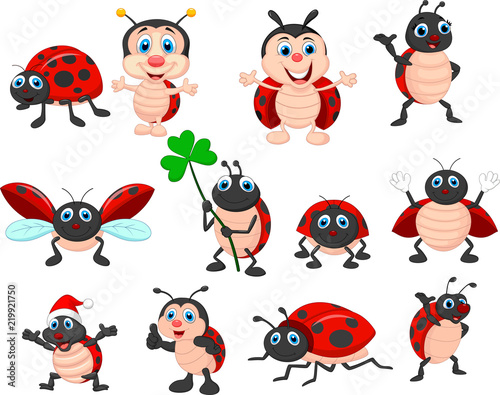 Fotografía Cartoon ladybug collection set
