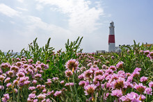 Portland Bill Lighthouse In England Dorset In Summer