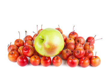 Wall Mural - Big green and small red crab apples