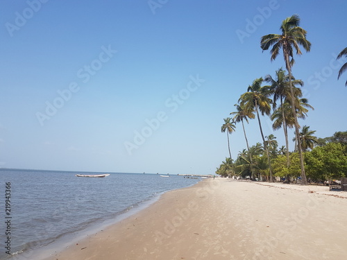 Plage Deserte De Casamance Buy This Stock Photo And Explore Similar Images At Adobe Stock Adobe Stock