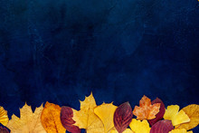 Top View Of Autumn Leaves On Blue Background