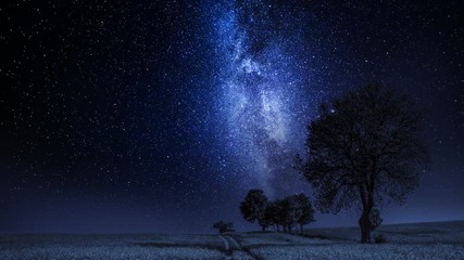 Wall Mural - Moving milky way and field with trees at night, timelapse, 4K