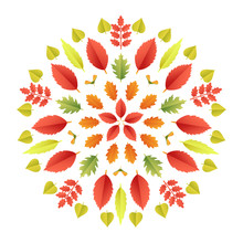 Autumnal Mandala. Fall Colorful Leaves Kaleidoscope Isolated On White Background. Paper Cut 3d Flat Style, Vector Illustration