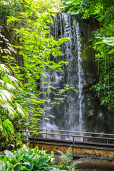 Poster - waterfall in the forest