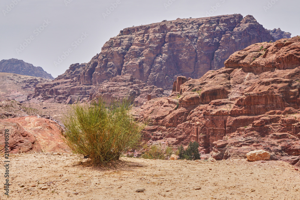 Beautiful landscape with ginger rocks, green spring plants and tree in ...