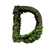 © dragancfm - Stone foliage letter