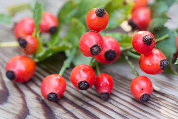 Poster - rose hips on a wooden table macro