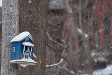 Snowflakes Falling Over A Blue Birdhouse That Has Snow On The Roof