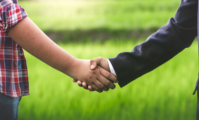 Wall Mural - Businessman and farmer shaking hands in rice field, Business concepts