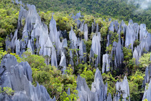 Pinnacles In Mulu National Parc In Malaysia