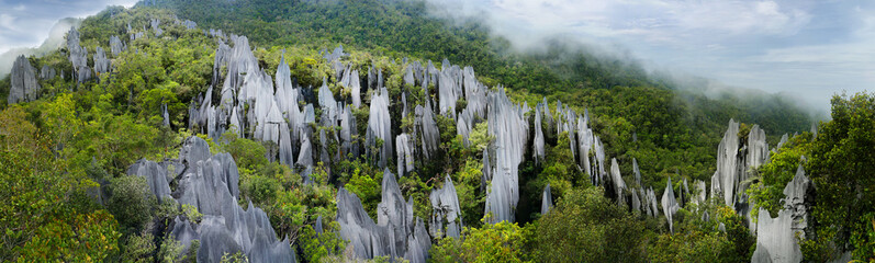 pinnacles in mulu national parc in malaysia