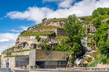 Wall Mural - Switzerland, lake Leman, vineyard and scenic view