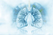 Human lungs on scientific background