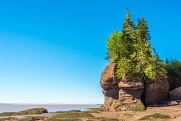 Canvas Print - During the tide in the Bay of Fundy, rock formations are uncovered - Canada