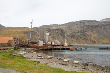 old fisher village n Antarctica