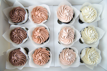 Tasty cupcakes on background table. Homemade vanilla muffin cupcake with cream buttercream icing. Birthday cupcake. Valentine sweets.  Close up view delicious sweet dessert