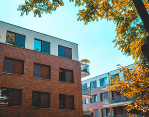 two apartment buildings framed by an orange tree