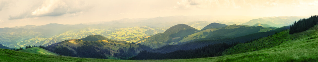 Wall Mural - view of the mountains from the green meadow