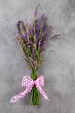 Fototapeta Lawenda - Lavender bunch with ribbon.