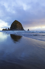 Wall Mural - Haystack Rock reflecting in the water on the beach at sunset vertical photo