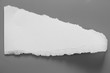 © ooddysmile - white torn paper on gray background. collection paper rip