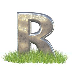 Wall Mural - Galvanized metal font Letter R in grass 3D