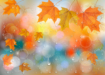 Poster - Autumn colorful background with  leaves and raindrops on the window. Vector background. Vector