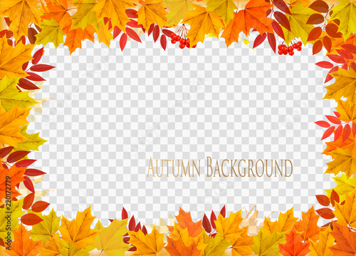 Fotografia Abstract autumn frame with colorful leaves on transparent background