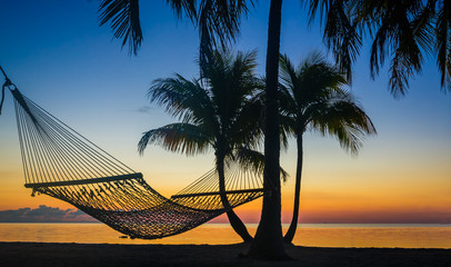 Hammock hangs between palm trees at sunrise.