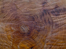Closeup Of Tree Stump Showing Saw Marks