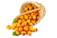 Fresh Apricots In Wicker Basket Isolated On White Background
