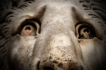 Wall Mural - Lion Statue - Cathedral St. Lawrence Genova