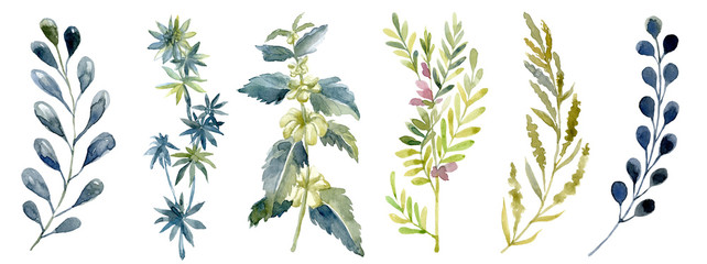 Watercolor set with forest leaf. Wash drawing illustration.