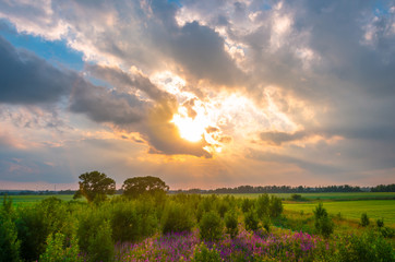 Wall Mural - Rural landscape, sky in dark clouds dramatic bright sunset.