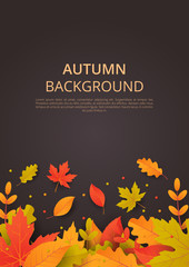 Wall Mural - autumn background with leaves. can be used for poster, banner, flyer, invitation, website or greetin