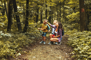 Mother and her little sons hiking trough forest .They learning about animal and plant life.