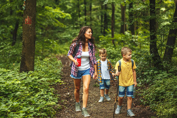 Wall Mural - mother and her little sons hiking trough forest .they learning about nature.