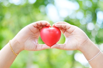 Hand-held view of a red-hearted man with two hands under the sunlight, lush green foliage, used as a background or wallpaper.