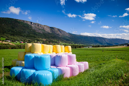 Cuadros en Lienzo Colorful silage bales on a field in Norway
