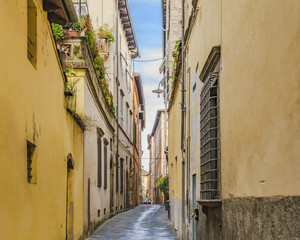 Wall Mural - Lucca Historic Center Street, Italy